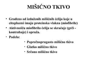 MIŠIĆNO TKIVO 
• Građeno od izduženih mišićnih ćelija koje u 
citoplazmi imaju proteinska vlakna (miofibrile) 
• Aktivnošču miofibrila ćelija se skraćuje (grči - 
kontrahuje) i opruža. 
• Podela: 
• Poprečnoprugasto mišićno tkivo 
• Glatko mišićno tkivo 
• Srčano mišićno tkivo 
 