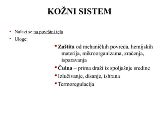 KOŽNI SISTEM 
• Nalazi se na površini tela 
• Uloge: 
Zaštita od mehaničkih povreda, hemijskih 
materija, mikroorganizama, zračenja, 
isparavanja 
Čulna – prima draži iz spoljašnje sredine 
 Izlučivanje, disanje, ishrana 
Termoregulacija 
 