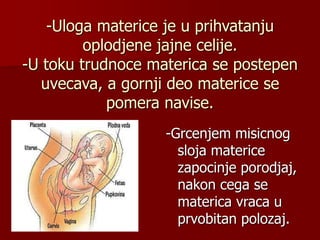-Uloga materice je u prihvatanju
oplodjene jajne celije.
-U toku trudnoce materica se postepen
uvecava, a gornji deo materice se
pomera navise.
-Grcenjem misicnog
sloja materice
zapocinje porodjaj,
nakon cega se
materica vraca u
prvobitan polozaj.
 