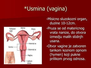 *Usmina (vagina)
-Misicno sluzokozni organ,
duzine 10-12cm.
-Pruza se od matericnog
vrata nanize, do otvora
izmedju malih stidnjh
usana.
-Otvor vagine je zatvoren
tankom koznom opnom
(hymen) koji pukne
prilikom prvog odnosa.
 
