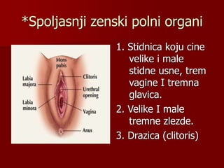 *Spoljasnji zenski polni organi
1. Stidnica koju cine
velike i male
stidne usne, trem
vagine I tremna
glavica.
2. Velike I male
tremne zlezde.
3. Drazica (clitoris)
 