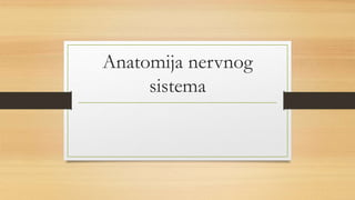 Anatomija nervnog
sistema
 