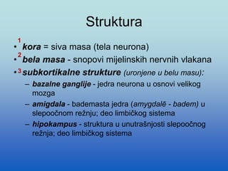 Struktura
• kora = siva masa (tela neurona)
• bela masa - snopovi mijelinskih nervnih vlakana
• subkortikalne strukture (uronjene u belu masu):
– bazalne ganglije - jedra neurona u osnovi velikog
mozga
– amigdala - bademasta jedra (amygdalē - badem) u
slepoočnom režnju; deo limbičkog sistema
– hipokampus - struktura u unutrašnjosti slepoočnog
režnja; deo limbičkog sistema
1
2
3
 