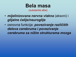 Bela masa
(substantia alba)
• mijelinizovana nervna vlakna (aksoni) i
glijalne ćelije/neuroglije
• osnovna funkcija: povezivanje različitih
delova cerebruma i povezivanje
cerebruma sa nižim strukturama mozga
 
