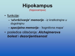 Hipokampus
(hippocampus)
• funkcije:
– ‘učvršćivanje’ memorije - iz kratkotrajne u
dugotrajnu
– spacijalna memorija - ‘kognitivna mapa’
• posledice oštećenja: Alchajmerova
bolest i dezorijentisanost
 