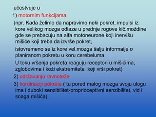 učestvuje u
1) motornim funkcijama
(npr. Kada želimo da napravimo neki pokret, impulsi iz
kore velikog mozga odlaze u prednje rogove kič.moždine
gde se prebacuju na alfa motoneurone koji inervišu
mišiće koji treba da izvrše pokret,
istovremeno se iz kore vel.mozga šalju informaije o
planiranom pokretu u koru cerebeluma.
U toku vršenja pokreta reaguju receptori u mišićima,
zglobovima i koži ekstremiteta koji vrši pokret)
2) održavanju ravnoteže
3) kordinaciji pokreta ( tu pored malog mozga svoju ulogu
ima i duboki senzibilitet-proprioceptivni senzibilitet, vid i
snaga mišića)
 