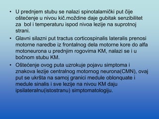 • U prednjem stubu se nalazi spinotalamički put čije
oštećenje u nivou kič.moždine daje gubitak senzibilitet
za bol i temperaturu ispod nivoa lezije na suprotnoj
strani.
• Glavni silazni put tractus corticospinalis lateralis prenosi
motorne naredbe iz frontalnog dela motorne kore do alfa
motoneurona u prednjim rogovima KM, nalazi se i u
bočnom stubu KM.
• Oštećenje ovog puta uzrokuje pojavu simptoma i
znakova lezije centralnog motornog neurona(CMN), ovaj
put se ukršta na samoj granici medule oblonquate i
medule sinalis i sve lezije na nivou KM daju
ipsilateralnu(istostranu) simptomatologiju.
 