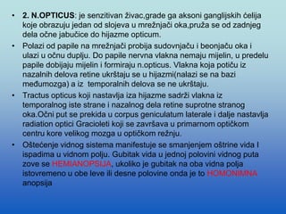 • 2. N.OPTICUS: je senzitivan živac,grade ga aksoni ganglijskih ćelija
koje obrazuju jedan od slojeva u mrežnjači oka,pruža se od zadnjeg
dela očne jabučice do hijazme opticum.
• Polazi od papile na mrežnjači probija sudovnjaču i beonjaču oka i
ulazi u očnu duplju. Do papile nervna vlakna nemaju mijelin, u predelu
papile dobijaju mijelin i formiraju n.opticus. Vlakna koja potiču iz
nazalnih delova retine ukrštaju se u hijazmi(nalazi se na bazi
međumozga) a iz temporalnih delova se ne ukrštaju.
• Tractus opticus koji nastavlja iza hijazme sadrži vlakna iz
temporalnog iste strane i nazalnog dela retine suprotne stranog
oka.Očni put se prekida u corpus geniculatum laterale i dalje nastavlja
radiation optici Gracioleti koji se završava u primarnom optičkom
centru kore velikog mozga u optičkom režnju.
• Oštećenje vidnog sistema manifestuje se smanjenjem oštrine vida I
ispadima u vidnom polju. Gubitak vida u jednoj polovini vidnog puta
zove se HEMIANOPSIJA, ukoliko je gubitak na oba vidna polja
istovremeno u obe leve ili desne polovine onda je to HOMONIMNA
anopsija
 