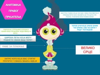 АНАТОМИЈА ПРАВОГ ПРИЈАТЕЉАБИСТРА ГЛАВА КОЈА ЋЕ ВАС УВЕК РАЗУМЕТИ И ПРИХВАТИТИ БЕЗ ОБЗИРА НА ТО ШТА СТЕ РЕКЛИ, УЧИНИЛИ ИЛИ ПОМИСЛИЛИТОПЛЕ ОЧИ КОЈЕ ЗРАЧЕ ОНИМ ‘’НЕ БРИНИ, СВЕ ЋЕ БИТИ У РЕДУ’’ ПОГЛЕДОМУШИ КОЈЕ СТРПЉИВО СЛУШАЈУ СВАКИ ВАШ ПРОБЛЕМ, НЕДОУМИЦУ И МУКУ...ШИРОКА ЛЕЂА КОЈА МОГУ ПОДНЕТИ СВАКИ ВАШ ТЕРЕТРАМЕ ЗА ПЛАКАЊЕВЕЛИКО СРЦЕХИТРЕ НОГЕ КОЈА ВАС СТИГНУ ПРАТИТИ У СВАКОЈ ВАШОЈ ИДЕЈИ