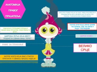 АНАТОМИЈА ПРАВОГ ПРИЈАТЕЉАБИСТРА ГЛАВА КОЈА ЋЕ ВАС УВЕК РАЗУМЕТИ И ПРИХВАТИТИ БЕЗ ОБЗИРА НА ТО ШТА СТЕ РЕКЛИ, УЧИНИЛИ ИЛИ ПОМИСЛИЛИТОПЛЕ ОЧИ КОЈЕ ЗРАЧЕ ОНИМ ‘’НЕ БРИНИ, СВЕ ЋЕ БИТИ У РЕДУ’’ ПОГЛЕДОМУШИ КОЈЕ СТРПЉИВО СЛУШАЈУ СВАКИ ВАШ ПРОБЛЕМ, НЕДОУМИЦУ И МУКУ...ШИРОКА ЛЕЂА КОЈА МОГУ ПОДНЕТИ СВАКИ ВАШ ТЕРЕТШИРОК ОСМЕХРАМЕ ЗА ПЛАКАЊЕВЕЛИКО СРЦЕХИТРЕ НОГЕ КОЈА ВАС СТИГНУ ПРАТИТИ У СВАКОЈ ВАШОЈ ИДЕЈИ