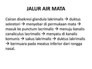 JALUR AIR MATA
Cairan disekresi glandula lakrimalis  duktus
sekretori  menyebar di permukaan mata 
masuk ke punctum lacrimalis  menuju kanalis
canaliculus lacrimalis  menyatu di kanalis
komunis  sakus lakrimalis  duktus lakrimalis
 bermuara pada meatus inferior dari rongga
nasal.
 