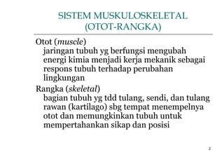 2
SISTEM MUSKULOSKELETAL
(OTOT-RANGKA)
Otot (muscle)
jaringan tubuh yg berfungsi mengubah
energi kimia menjadi kerja mekanik sebagai
respons tubuh terhadap perubahan
lingkungan
Rangka (skeletal)
bagian tubuh yg tdd tulang, sendi, dan tulang
rawan (kartilago) sbg tempat menempelnya
otot dan memungkinkan tubuh untuk
mempertahankan sikap dan posisi
 