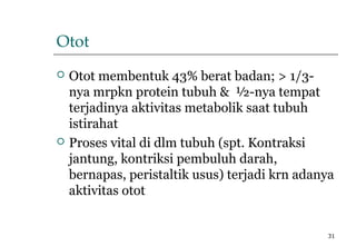 31
Otot
 Otot membentuk 43% berat badan; > 1/3-
nya mrpkn protein tubuh & ½-nya tempat
terjadinya aktivitas metabolik saat tubuh
istirahat
 Proses vital di dlm tubuh (spt. Kontraksi
jantung, kontriksi pembuluh darah,
bernapas, peristaltik usus) terjadi krn adanya
aktivitas otot
 