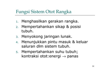 32
Fungsi Sistem Otot Rangka
1. Menghasilkan gerakan rangka.
2. Mempertahankan sikap & posisi
tubuh.
3. Menyokong jaringan lunak.
4. Menunjukkan pintu masuk & keluar
saluran dlm sistem tubuh.
5. Mempertahankan suhu tubuh;
kontraksi otot:energi → panas
 