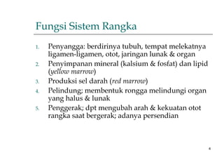 4
Fungsi Sistem Rangka
1. Penyangga: berdirinya tubuh, tempat melekatnya
ligamen-ligamen, otot, jaringan lunak & organ
2. Penyimpanan mineral (kalsium & fosfat) dan lipid
(yellow marrow)
3. Produksi sel darah (red marrow)
4. Pelindung; membentuk rongga melindungi organ
yang halus & lunak
5. Penggerak; dpt mengubah arah & kekuatan otot
rangka saat bergerak; adanya persendian
 