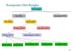 42
Komposisi Otot Rangka
Otot rangka
Sel (85%) Ekstrasel (15%)
Air (75%) Solut (25%
Protein (80%) Lain-lain (20%)
Fibrilar (65%) Sarkoplasmic (35%)
Miosin (55%) Aktin (20%) Tropomiosin (7%) Troponin (3%) Lain-lain (15%)
 