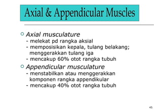 45
 Axial musculature
- melekat pd rangka aksial
- memposisikan kepala, tulang belakang;
menggerakkan tulang iga
- mencakup 60% otot rangka tubuh
 Appendicular musculature
- menstabilkan atau menggerakkan
komponen rangka appendikular
- mencakup 40% otot rangka tubuh
 