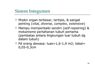 46
Sistem Integumen
 Mrpkn organ terbesar, tertipis, & sangat
penting (vital, diverse, complex, extensive)
 Mampu memperbaiki sendiri (self-repairing) &
mekanisme pertahanan tubuh pertama
(pembatas antara lingkungan luar tubuh dg
dalam tubuh)
 Pd orang dewasa: luas=1,6-1,9 m2; tebal=
0,05-0,3cm
 