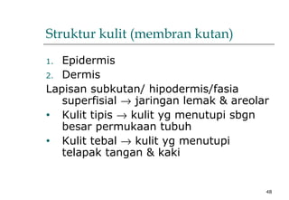48
Struktur kulit (membran kutan)
1. Epidermis
2. Dermis
Lapisan subkutan/ hipodermis/fasia
superfisial → jaringan lemak & areolar
• Kulit tipis → kulit yg menutupi sbgn
besar permukaan tubuh
• Kulit tebal → kulit yg menutupi
telapak tangan & kaki
 