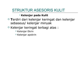 STRUKTUR ASESORIS KULIT
Kelenjar pada Kulit
 Terdiri dari kelenjar keringat dan kelenjar
sebaseus/ kelenjar minyak
 Kelenjar keringat terbagi atas :
 Kelenjar Ekrin
 Kelenjar apokrin
 