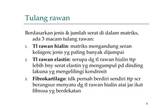 6
Tulang rawan
Berdasarkan jenis & jumlah serat di dalam matriks,
ada 3 macam tulang rawan:
1. Tl rawan hialin: matriks mengandung seran
kolagen; jenis yg paling banyak dijumpai
2. Tl rawan elastin: serupa dg tl rawan hialin ttp
lebih bny serat elastin yg mengumpul pd dinding
lakuna yg mengelilingi kondrosit
3. Fibrokartilago: tdk pernah berdiri sendiri ttp scr
berangsur menyatu dg tl rawan hialin atai jar.ikat
fibrosa yg berdekatan
 