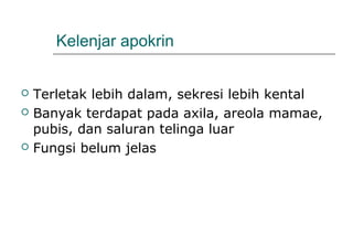 Kelenjar apokrin
 Terletak lebih dalam, sekresi lebih kental
 Banyak terdapat pada axila, areola mamae,
pubis, dan saluran telinga luar
 Fungsi belum jelas
 