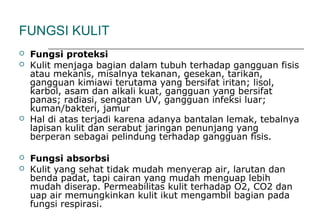 FUNGSI KULIT
 Fungsi proteksi
 Kulit menjaga bagian dalam tubuh terhadap gangguan fisis
atau mekanis, misalnya tekanan, gesekan, tarikan,
gangguan kimiawi terutama yang bersifat iritan; lisol,
karbol, asam dan alkali kuat, gangguan yang bersifat
panas; radiasi, sengatan UV, gangguan infeksi luar;
kuman/bakteri, jamur
 Hal di atas terjadi karena adanya bantalan lemak, tebalnya
lapisan kulit dan serabut jaringan penunjang yang
berperan sebagai pelindung terhadap gangguan fisis.
 Fungsi absorbsi
 Kulit yang sehat tidak mudah menyerap air, larutan dan
benda padat, tapi cairan yang mudah menguap lebih
mudah diserap. Permeabilitas kulit terhadap O2, CO2 dan
uap air memungkinkan kulit ikut mengambil bagian pada
fungsi respirasi.
 