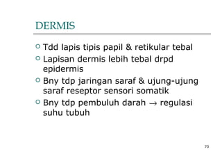 70
DERMIS
 Tdd lapis tipis papil & retikular tebal
 Lapisan dermis lebih tebal drpd
epidermis
 Bny tdp jaringan saraf & ujung-ujung
saraf reseptor sensori somatik
 Bny tdp pembuluh darah → regulasi
suhu tubuh
 