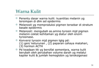 72
Warna Kulit
 Penentu dasar warna kulit: kuantitas melanin yg
tersimpan di dlm sel epidermis
 Melanosit yg memproduksi pigmen tersebar di stratum
basale epidermis
 Melanosit: mengubah as.amino tyrosin mjd pigmen
melanin coklat kehitaman yg diatur oleh enzim
tyrosinase.
 Konversi tyrosin mjd pigmen tgtg pd:
(1) gen/ keturunan , (2) paparan cahaya matahari,
(3) hormon ACTH
 Pd keadaan ttt yg bersifat sementara, warna kulit
berubah oleh perubahan volume darah yg melalui
kapiler kulit & jumlah hemoglobin yg teroksigenasi
 