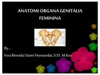 ANATOMIORGANA GENITALIA
FEMININA
By…
Fera RiswidaUtamiHerwandar,S.ST, M.Kes
 