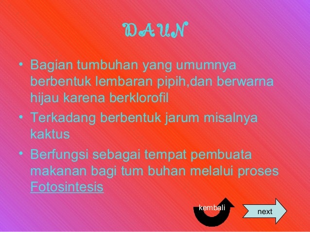 Anatomi organ tumbuhan