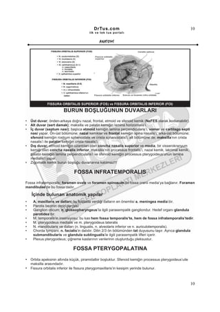 DrTus.com                                                      10
                                          ilk ve tek t us portalı


                                                 ANAT OMĐ




                         BURUN BOŞLUĞUNUN DUVARLARI
•   Üst duvar; önden-arkaya doğru nazal, frontal, etmoid ve sfenoid kemik (NeFES olarak kodlanabilir).
•   Alt duvar (sert damak); maksilla ve palatin kemiğin lamina horizontalis’i.
•   Đç duvar (septum nasi); başlıca etmoid kemiğin lamina perpendicularis’i, vomer ve cartilago septi
    nasi yapar. Ön-üst bölümüne; nazal kemikler ve frontal kemiğin spina nasalis’i, arka-üst bölümüne;
    sfenoid kemiğin rostrum sphenoidale ve crista sphenoidalis’i, alt bölümüne de; maksilla’nın crista
    nasalis’i ile palatin kemiğin crista nasalis’i.
•   Dış duvar; etmoid kemiğin uzantıları olan concha nasalis superior ve media, bir visserokranyum
    kemiği olan concha nasalis inferior, maksilla’nın processus frontalis’i, nazal kemik, lakrimal kemik,
    palatin kemiğin lamina perpendicularis’i ve sfenoid kemiğin processus pterygoideus’unun lamina
    medialis’i yapar.
•   Zigomatik kemik burun boşluğu duvarlarına katılmaz!!!

                                FOSSA INFRATEMPORALIS
Fossa infratemporalis; foramen ovale ve foramen spinosum ile fossa cranii media’ya bağlanır. Foramen
mandibulae’de bu fossa’dadır.

    Đçinde bulunan anatomik yapılar
•    A. maxillaris ve dalları; bu fossada verdiği dalların en önemlisi a. meningea media’dır.
•    Parotis bezinin derin parçası
•    Ganglion oticum; n. glossopharyngeus’la ilgili parasempatik gangliondur. Hedef organı glandula
     parotidea’dır.
•    M. temporalis’in insersiyosu; bu kas hem fossa temporalis’te, hem de fossa infratemporalis’tedir.
•    M. pterygoideus medialis ve m. pterygoideus lateralis
•    N. mandibularis ve dalları (n. lingualis, n. alveolaris inferior ve n. auriculotemporalis).
•    Chorda tympani; n. facialis’in dalıdır. Dilin 2/3 ön bölümünden tat duyusunu taşır. Ayrıca glandula
     submandibularis ve glandula sublingualis’le ilgili parasempatik lifleri içerir.
•    Plexus pterygoideus; çiğneme kaslarının venlerinin oluşturduğu pleksustur.

                               FOSSA PTERYGOPALATINA
• Orbita apeksinin altında küçük, piramidalbir boşluktur. Sfenoid kemiğin processus pterygoideus’uile
    maksilla arasındadır.
• Fissura orbitalis inferior ile fissura pterygomaxillaris’in kesişim yerinde bulunur.


                                                                                                            10
 