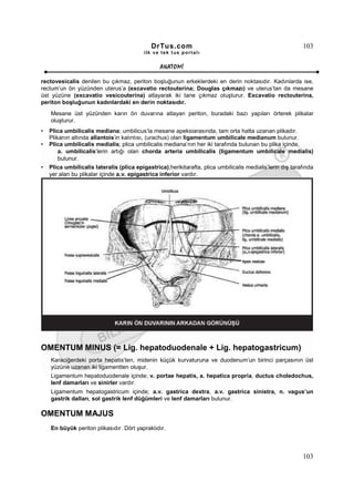 DrTus.com                                                     103
                                           ilk ve tek t us portalı


                                                 ANAT OMĐ

rectovesicalis denilen bu çıkmaz, periton boşluğunun erkeklerdeki en derin noktasıdır. Kadınlarda ise,
rectum’un ön yüzünden uterus’a (excavatio rectouterina; Douglas çıkmazı) ve uterus’tan da mesane
üst yüzüne (excavatio vesicouterina) atlayarak iki tane çıkmaz oluşturur. Excavatio rectouterina,
periton boşluğunun kadınlardaki en derin noktasıdır.
    Mesane üst yüzünden karın ön duvarına atlayan periton, buradaki bazı yapıları örterek plikalar
    oluşturur.
•   Plica umbilicalis mediana; umbilicus’la mesane apeksiarasında, tam orta hatta uzanan plikadır.
    Plikanın altında allantois’in kalıntısı, (urachus) olan ligamentum umbilicale medianum bulunur.
•   Plica umbilicalis medialis; plica umbilicalis mediana’nın her iki tarafında bulunan bu plika içinde,
        a. umbilicalis’lerin artığı olan chorda arteria umbilicalis (ligamentum umbilicale medialis)
        bulunur.
•   Plica umbilicalis lateralis (plica epigastrica);herikitarafta, plica umbilicalis medialis’lerin dış tarafında
    yer alan bu plikalar içinde a.v. epigastrica inferior vardır.




OMENTUM MINUS (= Lig. hepatoduodenale + Lig. hepatogastricum)
    Karaciğerdeki porta hepatis’ten, midenin küçük kurvaturuna ve duodenum’un birinci parçasının üst
    yüzüne uzanan iki ligamentten oluşur.
    Ligamentum hepatoduodenale içinde; v. portae hepatis, a. hepatica propria, ductus choledochus,
    lenf damarları ve sinirler vardır.
    Ligamentum hepatogastricum içinde; a.v. gastrica dextra, a.v. gastrica sinistra, n. vagus’un
    gastrik dalları, sol gastrik lenf düğümleri ve lenf damarları bulunur.

OMENTUM MAJUS
    En büyük periton plikasıdır. Dört yapraklıdır.



                                                                                                            103
 
