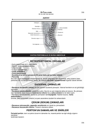 DrTus.com                                                    106
                                          ilk ve tek t us portalı


                                                 ANAT OMĐ




                             RETROPERĐTONEAL ORGANLAR
• Aorta abdominalis ve v. cava inferior
• Böbrek, üreter ve suprarenal bez
• Cisterna chyli
• Truncus sympathicus
• Colon ascendens
• Colon descendens
• Duodenum’un birinci parçasının ilk yarısı hariç, geriye kalan bölümü
• Pancreas
Son dört organ başlangıçta intraperitoneal dir. Ancak gelişmenin ileri döneminde, arka yüzlerini örten
peritonları erir ve retroperitoneal olurlar. Bu nedenle sekonder retroperitoneal organlar olarak bilinirler.

                                    DUODENAL ÇIKMAZLAR
• Recessus duodenalis inferior; en çok bulunan duodenal çıkmazdır. Đnternal hernilerin en sık görüldüğü
çıkmazdır.
• Recessus paraduodenalis; yetişkinlere göre, fetus’ta ve yeni doğanda daha sık bulunur. Bu çıkmaza
olan hernilerde, kese boynu v. mesenterica inferior ile a. colica sinistra’nın bir dalını içerir.
• Recessus retroduodenalis; duodenal çıkmazların en büyüğüdür. Nadiren bulunur. Aorta
abdominalis’in
önünde, pars horizontalis (inferior) ve pars ascendens duodeni’nin arkasındadır.

                               ÇEKUM (SEKUM) ÇIKMAZLARI
• Recessus retrocaecalis; appendix vermiformis sık olarak bu çıkmazdadır.
• Recessus ileocaecalis inferior; Treves’in damarsız plikası

                       PERĐTON’UN DAMARLARI VE SĐNĐRLERĐ
Pariyetal periton, karın ve pelvis duvarının damarları ile, visseral periton ise ilgili olduğu organın
damarları
tarafından beslenir.


                                                                                                          106
 
