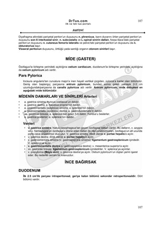 DrTus.com                                                  107
                                        ilk ve tek t us portalı


                                              ANAT OMĐ

Diyafragma altındaki pariyetal periton’un duyusunu n. phrenicus, karın duvarını örten pariyetal periton’un
duyusunu son 6 interkostal sinir, n. subcostalis ve L1 spinal sinirin dalları, fossa iliaca’daki pariyetal
periton’un duyusunu n. cutaneus femoris lateralis ve pelvis’teki pariyetal periton’un duyusunu da n.
obturatorius taşır.
Visseral peritonun duyusunu, örttüğü yada sardığı organın otonom sinirleri taşır.


                                        MĐDE (GASTER)
Özofagus’la birleşme yerindeki açıklığına ostium cardiacum, duodenum’la birleşme yerindeki açıklığına
da ostium pyloricum adı verilir.

Pars Pylorica
    Incisura angularis’ten curvatura major’a inen hayali vertikal çizgiden, pylorus’a kadar olan bölümdür.
    Geniş olan başlangıç parçasına antrum pyloricum, bundan sonra gelen yaklaşık 2-3 cm
    uzunluğundakiparçasına da canalis pyloricus adı verilir. Antrum pyloricum, mide doluyken en
    aşağıdaki mide bölümüdür.

MĐDENĐN DAMARLARI VE SĐNĐRLERĐ Arterleri
•   a. gastrica sinistra; truncus coeliacus’un dalıdır.
•   a. gastrica dextra; a. hepatica propria’nın dalıdır.
•   a. gastroomentalis (epiploica) sinistra; a. splenica’nın dalıdır.
•   a. gastroomentalis (epiploica) dextra; a. gastroduodenalis’in dalıdır.
•   aa. gastricae breves; a. splenica’dan gelen 5-6 daldır. Fundus’u beslerler.
•   a. gastrica posterior; a. splenica’nın dalıdır.

    Venleri
    •   v. gastrica sinistra; hiatus oesophageus’tan geçen özofageal dalları vardır. Bu dalların, v. azygos
        ve v. hemiazygos’un özofagus’u drene eden dalları ile olan anastomozları, özofagus’un alt ucunda
        porto-cava anastomoz oluşturur. V. gastrica sinistra, direk olarak v. portae hepatis’e açılır.
    •   v. gastrica dextra; direk olarak v. portae hepatis’e açılır.
    •   v. gastroomentalis sinistra (v. gastroepiploica sinistra); ligamentum gastrosplenicum içindedir.
        V. splenica’ya açılır.
    •   v. gastroomentalis dextra (v. gastroepiploica dextra); v. mesenterica superior’a açılır.
    •   vv. gastricae breves; ligamentum gastrosplenicum içindedirler. V. splenica’ya açılırlar.
    •   v. prepylorica (Mayo veni); v. gastrica dextra’ya açılır. Ostium pyloricum’un dıştan yerini işaret
        eder. Bu nedenle cerrahi bir kılavuzdur.

                                       ĐNCE BAĞIRSAK

DUODENUM
    Đlk 2.5 cm’lik parçası intraperitoneal, geriye kalan bölümü sekonder retroperitonealdir. Dört
    bölümü vardır.




                                                                                                      107
 