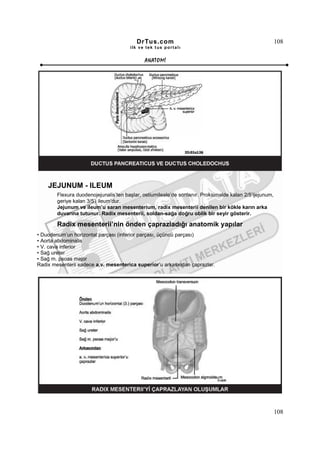 DrTus.com                                                      108
                                       ilk ve tek t us portalı


                                              ANAT OMĐ




    JEJUNUM - ILEUM
        Flexura duodenojejunalis’ten başlar, ostiumileale’de sonlanır. Proksimalde kalan 2/5’ijejunum,
        geriye kalan 3/5’i ileum’dur.
        Jejunum ve ileum’u saran mesenterium, radix mesenterii denilen bir kökle karın arka
        duvarına tutunur. Radix mesenterii, soldan-sağa doğru oblik bir seyir gösterir.

        Radix mesenterii’nin önden çaprazladığı anatomik yapılar
• Duodenum’un horizontal parçası (inferior parçası, üçüncü parçası)
• Aorta abdominalis
• V. cava inferior
• Sağ ureter
• Sağ m. psoas major
Radix mesenterii sadece a.v. mesenterica superior’u arkasından çaprazlar.




                                                                                                         108
 