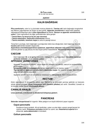 DrTus.com                                                  109
                                         ilk ve tek t us portalı


                                               ANAT OMĐ

                                       KALIN BAĞIRSAK

Plica semilunaris, colon’un iç yüzündeki mukoza plikalarıdır. Taeniae coli; kalın bağırsağın longitudinal
kas liflerinin yoğunlaşması ile oluşan üç tane şerittir. Appendix vermiformis’in tabanından başlarlar,
rektosigmoid birleşmeye yakın colon sigmoideum’da biterler. Rectum ve appendix vermiformis’te
yoktur. Colon sigmoideum’da diğer yerlerdekinden daha geniştir.
• Taenia libera; bu tenya’ya hiç bir yapı tutunmaz.
• Taenia mesocolica; mesocolon transversum tutunur.
• Taenia omentalis; omentum majus’un arka iki yaprağı tutunur.

Tenya’ların uzunluğu, kalın bağırsağın uzunluğundan daha kısa olduğundan, kalın bağırsağı büzerek
haustra coli denilen keseleri oluştururlar.
Appendices omentales(appendices epiploicae, appendices adiposae coli);sadece kalın bağırsak
üzerinde görülen içi yağ dokusu ile dolu küçük periton kesecikleridir. Rectum’da bulunmazlar.

CAECUM
   Kalın bağırsağın ilk ve en geniş bölümüdür. Yaklaşık 6 cm uzunluğundadır. Genellikle tamamen
   peritonla örtülüdür, ancak mezosu yoktur.
APPENDIX VERMIFORMIS
   Appendix vermiformis’in ostiumu, ostium ileale’nin yaklaşık 2 cm altında, caecum’un posteromedial
   duvarındadır.
   Đntraperitonealdir ve mesoappendix denilen üçgen şeklinde bir mezosu vardır.
   Taeniae coli’ler, appendix vermiformis’in tabanından başlar. Bu nedenle tenyalar takip edilerek
   appendix vermiformis bulunabilir.
   Appendix vermiformis’in en sık rastlanan lokalizasyonu retroçekal’dir. Đkinci sıklıkta pelviktir.

                                               RECTUM
Kolon sigmoideum S seviyesinde rektum olur. Rectum’un iç yüzündeki yarımay şeklinde ve transvers
                     3

yönde uzanan plikalara, plicae transversae recti (Houston plikaları) adı verilir. Genellikle 3 tanedir ve
en büyüğü ortada olanıdır (Kohlrausch plikası).

CANALIS ANALIS
Linea pectinata, endodermal ve ektodermal birleşmeyi gösterir.


                                            PANCREAS
Sekonder retroperitoneal bir organdır. Mide yatağının en büyük bölümünü yapan organdır.

   Caput pancreatis
       Duodenum kavsi içindedir. Alt sol tarafından, yukarı ve sola doğru uzanan çengel benzeri bir
       uzantısı vardır. Processus uncinatus denilen bu uzantı, a.v. mesenterica superior’ların
       arkasında, aorta abdominalis’in önündedir.

   Collum pancreatis



                                                                                                       109
 