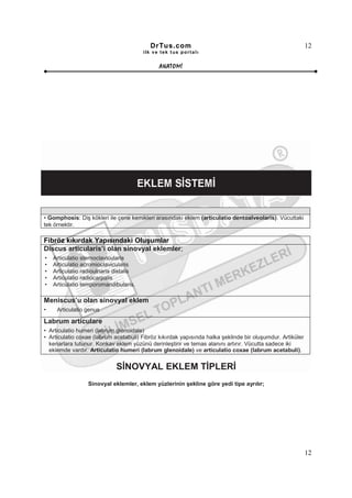 DrTus.com                                                        12
                                        ilk ve tek t us portalı


                                              ANAT OMĐ




• Gomphosis: Diş kökleri ile çene kemikleri arasındaki eklem (articulatio dentoalveolaris). Vücuttaki
tek örnektir.

Fibröz kıkırdak Yapısındaki Oluşumlar
Discus articularis’i olan sinovyal eklemler;
•   Articulatio sternoclavicularis
•   Articulatio acromioclavicularis
•   Articulatio radioulnaris distalis
•   Articulatio radiocarpalis
•   Articulatio temporomandibularis.

Meniscus’u olan sinovyal eklem
•    Articulatio genus

Labrum articulare
• Articulatio humeri (labrum glenoidale)
• Articulatio coxae (labrum acetabuli) Fibröz kıkırdak yapısında halka şeklinde bir oluşumdur. Artiküler
  kenarlara tutunur. Konkav eklem yüzünü derinleştirir ve temas alanını artırır. Vücutta sadece iki
  eklemde vardır. Articulatio humeri (labrum glenoidale) ve articulatio coxae (labrum acetabuli).


                             SĐNOVYAL EKLEM TĐPLERĐ
                  Sinovyal eklemler, eklem yüzlerinin şekline göre yedi tipe ayrılır;




                                                                                                           12
 