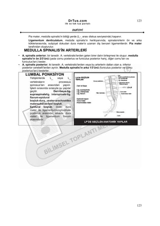 DrTus.com                                                     123
                                          ilk ve tek t us portalı


                                                    ANAT OMĐ

         Pia mater, medulla spinalis’in bittiği yerde (L - arası diskus seviyesinde) kapanır.
                                                         1 2

         Ligamentum denticulatum, medulla spinalis’in herikiyanında, spinalsinirlerin ön ve arka
         kökleriarasında, subpiyal dokudan dura mater’e uzanan diş benzeri ligamentlerdir. Pia mater
         tarafından oluşturulur.
     MEDULLA SPINALIS’ĐN ARTERLERĐ
•   A. spinalis anterior; bir tanedir. A. vertebralis’lerden gelen birer dalın birleşmesi ile oluşur. medulla
    spinalis’in ön 2/3’ünü (yada cornu posterius ve funiculus posterior hariç, diğer cornu’ları ve
    funiculus’ları) besler.
•   A. spinalis posterior; iki tanedir. A. vertebralis’lerden veya bu arterlerin dalları olan a. inferior
    posterior cerebelli’lerden ayrılır. Medulla spinalis’in arka 1/3’ünü (funiculus posterior ve cornu
    posterius’ları) beslerler.
      LUMBAL PONKSĐYON
           Yetişkinlerde    L 3 -4
                                   veya     L 4-5

           vertebraların            processus
           spinosus’ları arasından yapılır.
           Đşlem sırasında sırasıyla şu yapılar
           geçilir.            Deri-fasya-lig.
           supraspinalelig. interspinale-lig.
           flavum-epidural
           boşluk-dura mater-arachnoidea
           matersubaraknoid boşluk.
           Epidural boşluk, önde; dura
           mater ile ligamentumlongitudinale
           posterius arasında, arkada; dura
           mater ile ligamentum flavum
           arasındadır.




                                                                                                           123
 