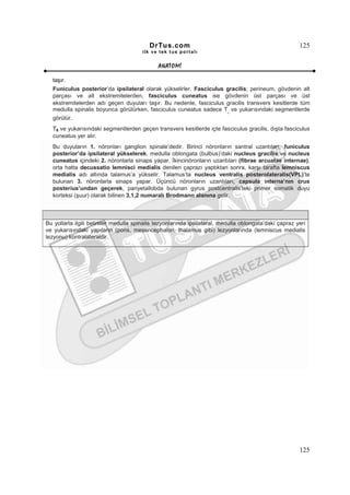 DrTus.com                                                     125
                                        ilk ve tek t us portalı


                                              ANAT OMĐ

  taşır.
  Funiculus posterior’da ipsilateral olarak yükselirler. Fasciculus gracilis; perineum, gövdenin alt
  parçası ve alt ekstremitelerden, fasciculus cuneatus ise gövdenin üst parçası ve üst
  ekstremitelerden adı geçen duyuları taşır. Bu nedenle, fasciculus gracilis transvers kesitlerde tüm
  medulla spinalis boyunca görülürken, fasciculus cuneatus sadece T ve yukarısındaki segmentlerde
                                                                           6

  görülür.
  T6 ve yukarısındaki segmentlerden geçen transvers kesitlerde içte fasciculus gracilis, dışta fasciculus
  cuneatus yer alır.
  Bu duyuların 1. nöronları ganglion spinale’dedir. Birinci nöronların santral uzantıları, funiculus
  posterior’da ipsilateral yükselerek, medulla oblongata (bulbus)’daki nucleus gracilis ve nucleus
  cuneatus içindeki 2. nöronlarla sinaps yapar. Đkincinöronların uzantıları (fibrae arcuatae internae),
  orta hatta decussatio lemnisci medialis denilen çaprazı yaptıktan sonra, karşı tarafta lemniscus
  medialis adı altında talamus’a yükselir. Talamus’ta nucleus ventralis posterolateralis(VPL)’te
  bulunan 3. nöronlarla sinaps yapar. Üçüncü nöronların uzantıları, capsula interna’nın crus
  posterius’undan geçerek, pariyetallobda bulunan gyrus postcentralis’teki primer somatik duyu
  korteksi (şuur) olarak bilinen 3,1,2 numaralı Brodmann alanına gelir.



Bu yollarla ilgili belirtiler medulla spinalis lezyonlarında ipsilateral, medulla oblongata’daki çapraz yeri
ve yukarısındaki yapıların (pons, mesencephalon, thalamus gibi) lezyonlarında (lemniscus medialis
lezyonu) kontralateraldir.




                                                                                                         125
 