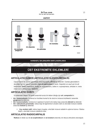 DrTus.com                                                      13
                                          ilk ve tek t us portalı


                                                ANAT OMĐ




ARTICULATIO HUMERI (ARTICULATIO GLENOHUMERALIS)
    Caput humeri ile cavitas glenoidalis arasında kurulu sferoid tip eklemdir. Cavitas glenoidalis’in
    derinliğini artıran labrum articulare (labrum glenoidale)’si vardır. Kapsülün en zayıf yeri ön-alt
    bölümüdür. Eklem kapsülünü; önden m. supscapularis, üstten m. supraspinatus, arkadan m. teres
    minor ve m. infraspinatus destekler.

ARTICULATIO CUBITI
    Üç eklemden oluşur. Đki kemik arasında kurulu bir eklem olduğu için art. composita’dır.
•   Art. humeroulnaris; humerus’un trochlea humeri’si ile ulna’nın incisura trochlearis’i arasında
    ginglimus tip eklemdir.
•   Art. humeroradialis; humerus’un capitulum humeri’si ile radius başı arasında sferoid tip eklemdir.
•   Art. radioulnaris proximalis; radius başı ile ligamentum anulare radii ve ulna’daki incisura radialis
    arasında trokoid tip eklemdir.

            Lig. anulare radii; radius başını kuşatıp, ulna’daki incisura radialis’in uçlarına tutunur. Radius
           başını, ulna’daki incisura radialis’te tutar.

ARTICULATIO RADIOCARPALIS
    Radius’un distal ucu ile os scaphoideum ve os lunatum arasında, bir discus articularis aracılığıyla


                                                                                                            13
 