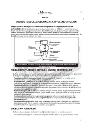 DrTus.com                                                    134
                                         ilk ve tek t us portalı


                                                ANAT OMĐ

       BULBUS (MEDULLA OBLONGATA, MYELENCEPHALON)
Respiratuar ile kardiyovasküler kontrolün presör ve depresör merkezleri
                                                                         +
bulbus’tadır. Ek olarak; öksürme, aksırma, kusma merkezleri ve BOS’taki H konsantrasyonuna
duyarlı retiküler formasyon çekirdekleri vardır. Son dört kranyal sinir, bulbus’tan beyin sapını terk eder.
Pyramis bulbi ile oliva arasında bulunan sulcus anterolateralis’ten XII nci kranyal sinir çıkar. Oliva ile
pedunculus cerebellaris inferior arasında bulunan sulcus retroolivaris’ten ise yukarıdan aşağıya doğru; IX,
X ve XI nci kranyal sinirler bulbus’u terk eder.




BULBUS KESĐTLERĐNDE GÖRÜLEN ÖNEMLĐ ÇEKĐRDEKLER
    Bulbus kesitlerinde son beş kranyalsinirin çekirdeklerigörülür. VIII ncikranyalsinirin çekirdekleri,
    bulbopontin birleşmede lokalizedir. Bu nedenle kısmen bulbus’ta, kısmen pons’tadır.
•    Nucleus gracilis ve nucleus cuneatus; şuurlu proprioseptif, vibrasyon ve iki nokta ayrımı
     duyularının ikinci nöronlarının bulunduğu çekirdeklerdir.
•    Nucleus tractus solitarius; VII, IX ve X ncu kranyal sinirlerle ilgilidir. Bu kranyal sinirlerin,
     organlardan duyu taşıyan GVA lifleri ile dilden tat duyusunu taşıyan ÖVA liflerinin geldiği çekirdektir.
•    Nucleus spinalis nervi trigemini;C Segmentinden pons’a kadar uzanır. Baş ve yüzün ağrı-ısı
                                          3

     duyularının ikincinöronlarının bulunduğu çekirdektir. Bu duyuların birincinöronları; V, VII, IX ve X ncu
     kranyalsinirlerin ganglionlarındadır.
•    Nucleus ambiguus; IX, X ve XI (pars cranialis) kranyal sinirlerle ilgilidir. Bu çekirdekten çıkan ÖVE
     lifler, adı geçen kranyal sinirlerin dalları içinde, larinks, farinks, yumuşak damak ve özofagus’un üst
     parçasının kaslarına gider.
•    Nucleus salivatorius inferior; n. glossopharyngeus’la ilgili parasempatik çekirdektir. Bu
     çekirdekten çıkan parasempatik lifler, ganglion oticum’da sinaps yaptıktan sonra glandula
     parotidea’ya gider.
•    Nucleus posterior (dorsalis) nervi vagi; n. vagus’un parasempatik çekirdeğidir. Bu çekirdekten
     çıkan parasempatik lifler, n. vagus’un dalları içinde tüm torakal organlara ve flexura coli sinistra’ya
     kadar tüm abdominal organlara parasempatik uyarıyı götürür.

BULBUS’UN ARTERLERĐ
    Bulbus, solunum-dolaşım merkezlerini içerdiğinden beyin sapının en önemli parçasıdır.
•    Ön (paramedian) bölgesini; a. vertebralis’ten gelen medüller dallar ve a. spinalis anterior besler.


                                                                                                           134
 