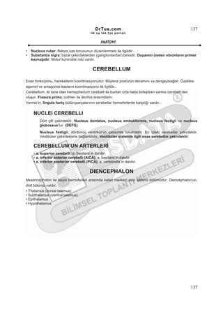 DrTus.com                                               137
                                          ilk ve tek t us portalı


                                                 ANAT OMĐ

•   Nucleus ruber; fleksor kas tonusunun düzenlenmesi ile ilgilidir.
•   Substantia nigra; bazal çekirdeklerden (ganglionlardan) birisidir. Dopamin üreten nöronların primer
    kaynağıdır. Motor kontrolde rolü vardır.

                                            CEREBELLUM

Esas fonksiyonu, hareketlerin koordinasyonudur. Böylece postürün devamını ve dengeyisağlar. Özellikle
agonist ve antagonist kasların koordinasyonu ile ilgilidir.
Cerebellum, iki tane olan hemispherium cerebelli ile bunları orta hatta birleştiren vermis cerebelli’den
oluşur. Fissura prima, culmen ile declive arasındadır.
Vermis’in, lingula hariç bütün parçalarının serebellar hemisferlerde karşılığı vardır.


     NUCLEI CEREBELLI
         Dört çift çekirdektir. Nucleus dentatus, nucleus emboliformis, nucleus fastigii ve nucleus
         globossus’tur. (DEFG).
         Nucleus fastigii; dördüncü ventrikül’ün çatısında lokalizedir. En içteki serebellar çekirdektir.
         Vestibüler çekirdeklerle bağlantılıdır. Vestibüler sistemle ilgili esas serebellar çekirdektir.

     CEREBELLUM’UN ARTERLERĐ
     • a. superior cerebelli; a. basilaris’in dalıdır
     • a. inferior anterior cerebelli (AICA); a. basilaris’in dalıdır
     • a. inferior posterior cerebelli (PICA); a. vertebralis’in dalıdır.

                                          DIENCEPHALON
Mesencephalon ile beyin hemisferleri arasında kalan merkezi sinir sistemi bölümüdür. Diencephalon’un,
dört bölümü vardır.
• Thalamus (dorsal talamus)
• Subthalamus (ventral talamus)
• Epithalamus
• Hypothalamus




                                                                                                     137
 