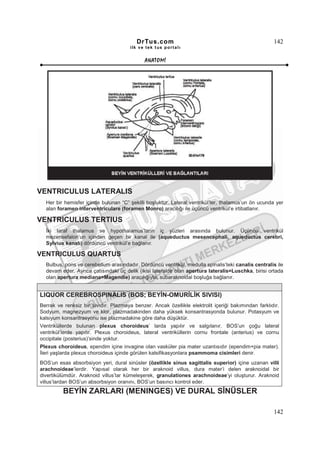 DrTus.com                                                  142
                                       ilk ve tek t us portalı


                                             ANAT OMĐ




VENTRICULUS LATERALIS
  Her bir hemisfer içinde bulunan “C” şekilli boşluktur. Lateral ventrikül’ler, thalamus’un ön ucunda yer
  alan foramen interventriculare (foramen Monro) aracılığı ile üçüncü ventrikül’e irtibatlanır.

VENTRICULUS TERTIUS
  Đki taraf thalamus ve hypothalamus’ların iç yüzleri arasında bulunur. Üçüncü ventrikül
  mezensefalon’un içinden geçen bir kanal ile (aqueductus mesencephali, aqueductus cerebri,
  Sylvius kanalı) dördüncü ventrikül’e bağlanır.

VENTRICULUS QUARTUS
  Bulbus, pons ve cerebellum arasındadır. Dördüncü ventrikül, medulla spinalis’teki canalis centralis ile
  devam eder. Ayrıca çatısındaki üç delik (ikisi lateralde olan apertura lateralis=Luschka, birisi ortada
  olan apertura mediana=Magendie) aracılığıyla, subaraknoidal boşluğa bağlanır.


LIQUOR CEREBROSPINALIS (BOS; BEYĐN-OMURĐLĐK SIVISI)
Berrak ve renksiz bir sıvıdır. Plazmaya benzer. Ancak özellikle elektrolit içeriği bakımından farklıdır.
Sodyum, magnezyum ve klor, plazmadakinden daha yüksek konsantrasyonda bulunur. Potasyum ve
kalsiyum konsantrasyonu ise plazmadakine göre daha düşüktür.
Ventriküllerde bulunan plexus choroideus’ larda yapılır ve salgılanır. BOS’un çoğu lateral
ventrikül’lerde yapılır. Plexus choroideus, lateral ventriküllerin cornu frontale (anterius) ve cornu
occipitale (posterius)’sinde yoktur.
Plexus choroideus, ependim içine invagine olan vasküler pia mater uzantısıdır (ependim+pia mater).
Đleri yaşlarda plexus choroideus içinde görülen kalsifikasyonlara psammoma cisimleri denir.
BOS’un esas absorbsiyon yeri, dural sinüsler (özellikle sinus sagittalis superior) içine uzanan villi
arachnoideae’lerdir. Yapısal olarak her bir araknoid villus, dura mater’i delen araknoidal bir
divertikülümdür. Araknoid villus’lar kümeleşerek, granulationes arachnoideae’yi oluşturur. Araknoid
villus’lardan BOS’un absorbsiyon oranını, BOS’un basıncı kontrol eder.
          BEYĐN ZARLARI (MENINGES) VE DURAL SĐNÜSLER

                                                                                                     142
 