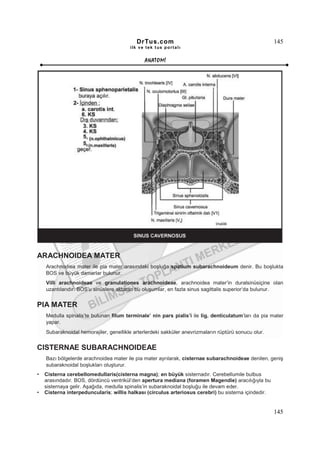 DrTus.com                                                  145
                                        ilk ve tek t us portalı


                                               ANAT OMĐ




ARACHNOIDEA MATER
    Arachnodiea mater ile pia mater arasındaki boşluğa spatium subarachnoideum denir. Bu boşlukta
    BOS ve büyük damarlar bulunur.
    Villi arachnoideae ve granulationes arachnoideae, arachnoidea mater’in duralsinüsiçine olan
    uzantılarıdır. BOS’u sinüslere aktaran bu oluşumlar, en fazla sinus sagittalis superior’da bulunur.


PIA MATER
    Medulla spinalis’te bulunan filum terminale’ nin pars pialis’i ile lig. denticulatum’ları da pia mater
    yapar.
    Subaraknoidal hemorajiler, genellikle arterlerdeki sakküler anevrizmaların rüptürü sonucu olur.


CISTERNAE SUBARACHNOIDEAE
    Bazı bölgelerde arachnoidea mater ile pia mater ayrılarak, cisternae subarachnoideae denilen, geniş
    subaraknoidal boşlukları oluşturur.
•   Cisterna cerebellomedullaris(cisterna magna); en büyük sisternadır. Cerebellumile bulbus
    arasındadır. BOS, dördüncü ventrikül’den apertura mediana (foramen Magendie) aracılığıyla bu
    sisternaya gelir. Aşağıda, medulla spinalis’in subaraknoidal boşluğu ile devam eder.
•   Cisterna interpeduncularis; willis halkası (circulus arteriosus cerebri) bu sisterna içindedir.


                                                                                                      145
 