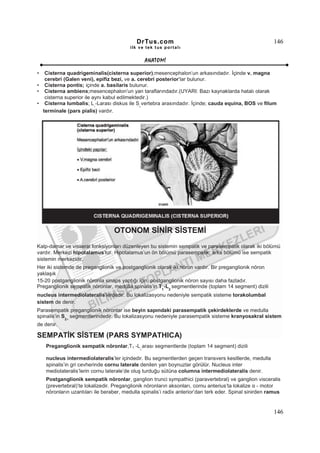 DrTus.com                                                     146
                                         ilk ve tek t us portalı


                                                  ANAT OMĐ

•  Cisterna quadrigeminalis(cisterna superior);mesencephalon’un arkasındadır. Đçinde v. magna
   cerebri (Galen veni), epifiz bezi, ve a. cerebri posterior’lar bulunur.
• Cisterna pontis; içinde a. basilaris bulunur.
• Cisterna ambiens;mesencephalon’un yan taraflarındadır.(UYARI: Bazı kaynaklarda hatalı olarak
   cisterna superior ile aynı kabul edilmektedir.)
• Cisterna lumbalis; L -Larası diskus ile S vertebra arasındadır. Đçinde; cauda equina, BOS ve filum
                         1                   2

  terminale (pars pialis) vardır.




                                  OTONOM SĐNĐR SĐSTEMĐ
Kalp-damar ve visseral fonksiyonları düzenleyen bu sistemin sempatik ve parasempatik olarak iki bölümü
vardır. Merkezi hipotalamus’tur. Hipotalamus’un ön bölümü parasempatik, arka bölümü ise sempatik
sistemin merkezidir.
Her iki sistemde de preganglionik ve postganglionik olarak iki nöron vardır. Bir preganglionik nöron
yaklaşık
15-20 postganglionik nöronla sinaps yaptığı için, postganglionik nöron sayısı daha fazladır.
Preganglionik sempatik nöronlar, medulla spinalis’in T1-L2 segmentlerinde (toplam 14 segment) dizili
nucleus intermediolateralis’lerdedir. Bu lokalizasyonu nedeniyle sempatik sisteme torakolumbal
sistem de denir.
Parasempatik preganglionik nöronlar ise beyin sapındaki parasempatik çekirdeklerde ve medulla
spinalis’in S2 segmentlerindedir. Bu lokalizasyonu nedeniyle parasempatik sisteme kranyosakral sistem
             -4


de denir.

SEMPATĐK SĐSTEM (PARS SYMPATHICA)
    Preganglionik sempatik nöronlar,T1 -L arası segmentlerde (toplam 14 segment) dizili
                                              2



    nucleus intermediolateralis’ler içindedir. Bu segmentlerden geçen transvers kesitlerde, medulla
    spinalis’in gri cevherinde cornu laterale denilen yan boynuzlar görülür. Nucleus inter
    mediolateralis’lerin cornu laterale’de oluş turduğu sütüna columna intermediolateralis denir.
    Postganglionik sempatik nöronlar, ganglion trunci sympathici (paravertebral) ve ganglion visceralis
    (prevertebral)’te lokalizedir. Preganglionik nöronların aksonları, cornu anterius’ta lokalize α - motor
    nöronların uzantıları ile beraber, medulla spinalis’i radix anterior’dan terk eder. Spinal sinirden ramus


                                                                                                          146
 
