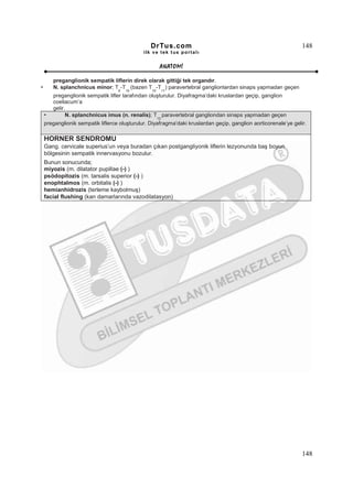 DrTus.com                                                       148
                                              ilk ve tek t us portalı


                                                      ANAT OMĐ

       preganglionik sempatik liflerin direk olarak gittiği tek organdır.
•      N. splanchnicus minor; T -T (bazen T -T ) paravertebral ganglionlardan sinaps yapmadan geçen
                                   9   10        10   11
       preganglionik sempatik lifler tarafından oluşturulur. Diyafragma’daki kruslardan geçip, ganglion
       coeliacum’a
       gelir.
    •        N. splanchnicus imus (n. renalis); T paravertebral gangliondan sinaps yapmadan geçen
                                                    12
    preganglionik sempatik liflerce oluşturulur. Diyafragma’daki kruslardan geçip, ganglion aorticorenale’ye gelir.

    HORNER SENDROMU
    Gang. cervicale superius’un veya buradan çıkan postgangliyonik liflerin lezyonunda baş boyun
    bölgesinin sempatik innervasyonu bozulur.
    Bunun sonucunda;
    miyozis (m. dilatator pupillae (-) )
    psödopitozis (m. tarsalis superior (-) )
    enophtalmos (m. orbitalis (-) )
    hemianhidrozis (terleme kaybolmuş)
    facial flushing (kan damarlarında vazodilatasyon)




                                                                                                                 148
 