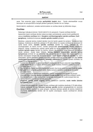 DrTus.com                                                  164
                               ilk ve tek t us portalı


                                     ANAT OMĐ

sarar. Đkisi arasında kalan boşluğa perilenfatik boşluk denir . Đçinde ekstrasellüler sıvıya
benzeyen ve sonuçta BOS’a karışan perilenf (perilymh) denilen bir sıvı dolaşır.
Kemik labirint; vestibulum, canales semicirculares ve cochlea olarak üç bölümden oluşur.

Cochlea
  Salyangoz kabuğuna benzer. Kemik labirint’in ön parçasıdır. Cupula cochleae denilen
  tepesinden,basis cochleae denilen tabanına doğru santralolarak uzanan konik şekillikemik
  yapıya modiolus cochleae denir. Ganglion cochleare(ganglion spirale cochleae, Corti
  ganglionu), modiolus’ta bulunan canalis spiralis modioli içindedir.
  Modiolus, yukarıda lamina modioli denilen ince bir kemik yaprak ile sonlanır. Vestibulum’dan
  başlayıp, modiolus’un etrafında yaklaşık 2.75 defa dönen ve cupula cochleae’de sonlanan bir
  spiral kanal vardır. Canalis spiralis cochleae denilen bu kanal, yaklaşık 35 mm
  uzunluğundadır ve birinci kıvrımı, cavitas tympani’deki promontorium denilen kabarıntıyı
  oluşturur. Kanal, modiolus’tan uzanan spiral şekilli bir kemik lamina ile kısmen ikiye ayrılır.
  Lamina spiralis ossea denilen bu lamina, kanalın dış duvarına kadar uzanmaz ve serbest
  olarak sonlanır. Arada kalan bölümü, lamina basilaris (membrana spiralis, paries
  tympanicus) isminde bir zar tamamlar. Bu zar,lamina spiralis ossea’dan başlar,ligamentum
  spirale aracılığıyla kanalın dış duvarına tutunur. Corti organı (organum spirale), bu zarın
  üzerindedir. Kemik laminanın serbest ucundan, kanalın duvarına uzanan diğer zar yapı paries
  vestibularis (membrana vestibularis, Reissner membranı)’tir. Canalis spiralis cochleae, bu
  yapılar ile üç boşluğa ayrılır.
  • Lamina spiralis ossea ve paries vestibularis ile kanalın dış duvarı arasında kalan boşluğa
     scala vestibuli denir ve içinde perilenf vardır. Scala vestibuli, fenestra vestibuli’ye (oval
     pencere) bakar.
  • Lamina spiralis ossea velamina basilarisile kanalın dış duvarı arasında kalan boşluğa scala
     tympani denir ve içinde perilenf vardır. Scala tympani, fenestra cochleae’ye (yuvarlak
     pencere) bakar.
  • Lamina basilaris ve membrana vestibularis (paries vestibularis) ile kanalın dış duvarı
     arasında kalan boşluğa ductus cochlearis (scala media) denir ve içinde endolenf vardır.
     Ductus cochlearis, scala vestibuli’den membrana vestibularis ile, scala tympani’den ise
     lamina basilaris (membrana spiralis) ile ayrılır.
     Organum spirale (Corti organı), lamina basilaris’in üzerinde, scala media (ductus
     cochlearis)’dadır.
     Lamina spiralis ossea da, canalis spiralis cochleae gibi modiolus etrafında 2.75 defa döner.
     Cupula cochleae altında, hamulus laminae spiralis denilen çengelşeklinde bir çıkıntıile
     sonlanır. Scala vestibuli ile scala tympani, hamulus laminae spiralis ile lamina modioli’nin
     sınırladığı helicotrema denilen dar bir açıklık aracılığıyla, cupula cochleae’nin altında
     irtibatlanır.




                                                                                             164
 