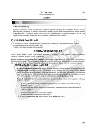 DrTus.com                                                      166
                                            ilk ve tek t us portalı


                                                   ANAT OMĐ




       Ménière hastalığı
    etyolojisi bilinmeyen, oditör ve vestibüler reseptör organları etkileyen bir hastalıktır. Bulantı, kusma,
    tinnitus (kulak çınlaması) ve ilerleyici sensörinöral işitme kaybının eşlik ettiği tekrarlayan vertigo atakları
    ile karakterizedir. Endolenfin volümündeki aşırı artış (endolenfatik hidrops) nedeniyledir. Ancak oluş
    mekanizması bilinmiyor. Hastalığın ileri evrelerinde zar labirint rüptürü olabilir.


ĐÇ KULAĞIN DAMARLARI
•   A.labyrinthi;sık olarak a.inferior anterior cerebelli’den, nadiren de a. basilaris’ten ayrılır. Meatus
    acusticus internus’tan geçip iç kulağa gelir.
•   V. labyrinthi, sinus petrosus inferior’a açılır.

                                    ORBITA VE ĐÇĐNDEKĐLER
Orbita; tepesi arkada, tabanı önde piramit şeklinde iki boşluktur. Tepesi, fissura orbitalis superior’un
hemen iç tarafında yer alan canalis opticus’tadır.
Anulus tendineus communis (Zinn halkası); canalis opticus’u kuşatan bu fibröz halka, periosteum’un
kalınlaşması ile oluşur. Rektus kaslarının başlama yeridir. N. opticus, a. ophthalmica, n. oculomotorius’un
üst ve alt dalı, n. abducens ve n. nasociliaris halkanın içinden geçer. Bazen oftalmik venler de geçebilir.
      ORBITA’DA BULUNAN KASLAR
          M. levator palpebrae superioris; Sonuç tendonu lakrimal bezin iki parçası arasından geçer. N.
          oculomotorius tarafından uyarılır. Bu nedenle sinirin felcinde, üst göz kapağı düşer (pitoz).
          Kasın aponörozu tarsus superior’a yapışarak sonlandığı için, sempatik sinir sistemi lezyonlarında
          da (Horner sendromu gibi), sempatik sinirle uyarılan m. tarsus superior’daki tonus kaybı sonucu,
          m. levator palpebrae superioris’in aşağıya çekilmesi ile pitoz olur (yalancı pitoz).
          Musculi recti; dört tanedir. Anulus tendineus communis (Zinn halkası)’ten başlarlar, sclera’ya
          insersiyo yaparlar.
           •    M. rectus superior; primer olarak göze elevasyon (yukarı baktırır), sekonder olarak iç
                rotasyon yaptırır.
           •    M. rectus inferior; primer olarak göze depresyonz (aşağıya baktırır), sekonder olarak iç
                rotasyon yaptırır.

           •     M. rectus medialis; göze addüksiyon yaptırır.
           •     M. rectus lateralis; göze abdüksiyon yaptırır.
           Đlk üç kası n. oculomotorius, sonuncusunu ise n. abducens uyarır.




                                                                                                              166
 