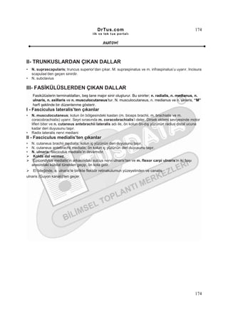DrTus.com                                                     174
                                          ilk ve tek t us portalı


                                                ANAT OMĐ



II- TRUNKUSLARDAN ÇIKAN DALLAR
•   N. suprascapularis; truncus superior’dan çıkar. M. supraspinatus ve m. infraspinatus’u uyarır. Incisura
    scapulae’den geçen sinirdir.
•   N. subclavius

III- FASĐKÜLÜSLERDEN ÇIKAN DALLAR
    Fasikülüslerin terminaldalları, beş tane major sinir oluşturur. Bu sinirler; n. radialis, n. medianus, n.
    ulnaris, n. axillaris ve n. musculocutaneus’tur. N. musculocutaneus, n. medianus ve n. ulnaris, “M”
    harfi şeklinde bir düzenlenme gösterir.
I - Fasciculus lateralis’ten çıkanlar
•   N. musculocutaneus; kolun ön bölgesindeki kasları (m. biceps brachii, m. brachialis ve m.
    coracobrachialis) uyarır. Seyri sırasında m. coracobrachialis’i deler. Dirsek eklemi seviyesinde motor
    lifleri biter ve n. cutaneus antebrachii lateralis adı ile, ön kolun ön-dış yüzünün radius distal ucuna
    kadar deri duyusunu taşır.
•   Radix lateralis nervi mediani
II - Fasciculus medialis’ten çıkanlar
•   N. cutaneus brachii medialis; kolun iç yüzünün deri duyusunu taşır.
•   N. cutaneus antebrachii medialis; ön kolun iç yüzünün deri duyusunu taşır.
•   N. ulnaris; fasciculus medialis’in devamıdır.
     Kolda dal vermez.
     Epicondylus medialis’in arkasındaki sulcus nervi ulnaris’ten ve m. flexor carpi ulnaris’in iki başı
    arasındaki kübital tünelden geçip, ön kola gelir.
    El bileğinde, a. ulnaris’le birlikte fleksör retinakulumun yüzeyelinden ve canalis
ulnaris (Guyon kanalı)’ten geçer.




                                                                                                           174
 